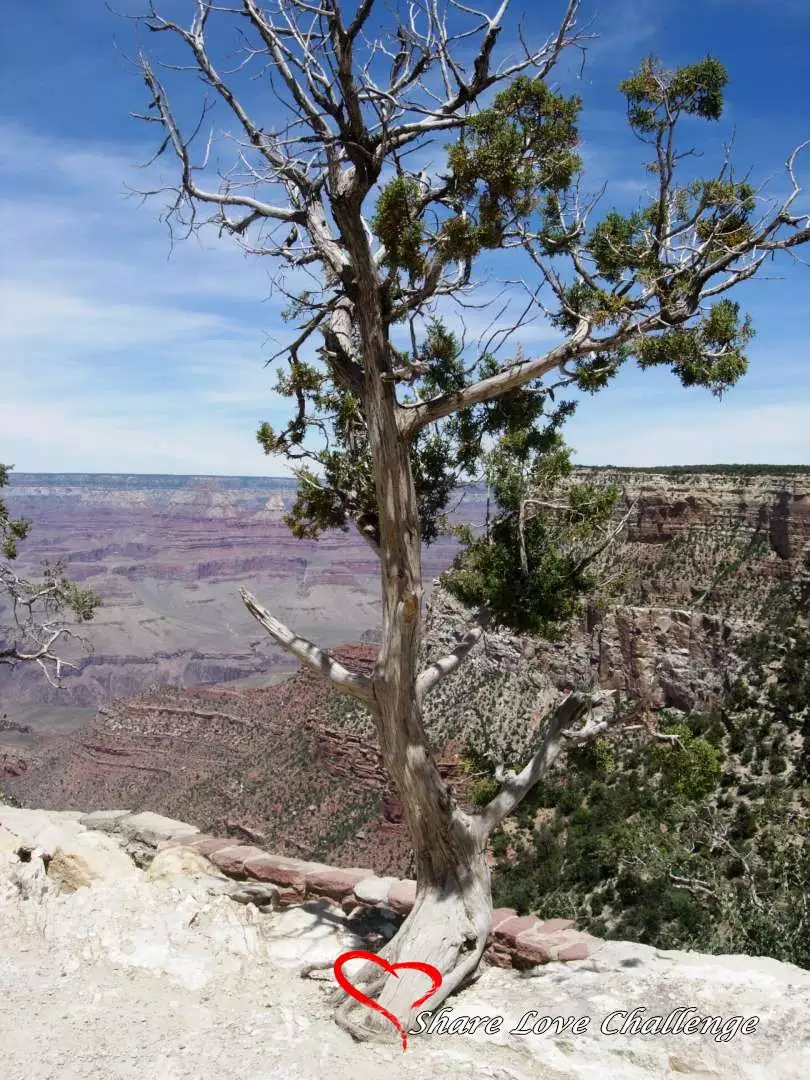Grand Canyon National Park Arizona State, USA