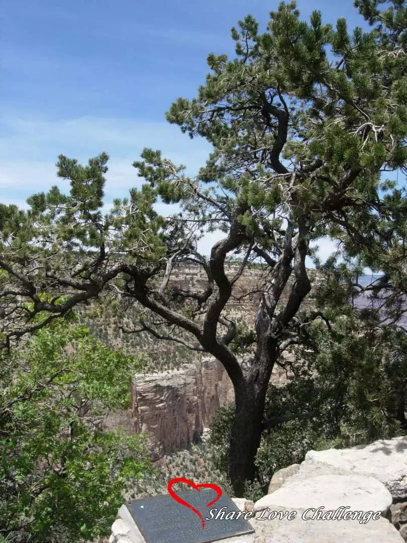 Grand Canyon National Park Arizona State, USA