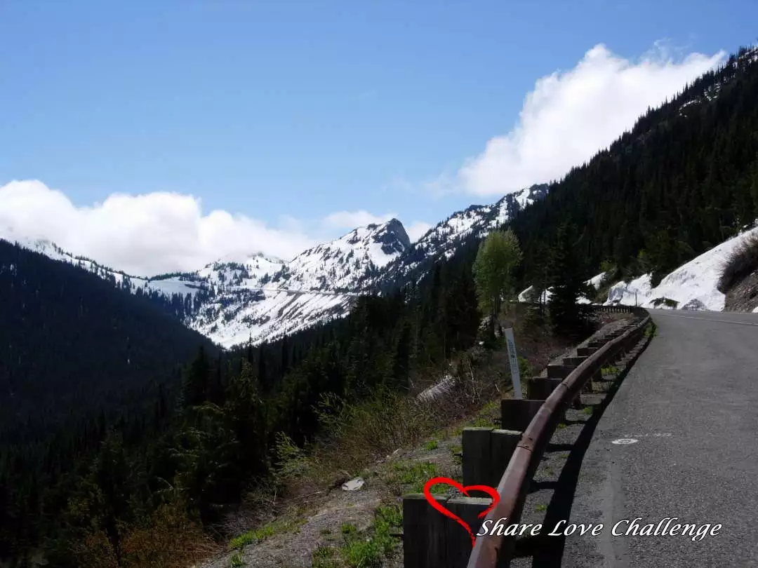 Mount Rainier National Park Washington State