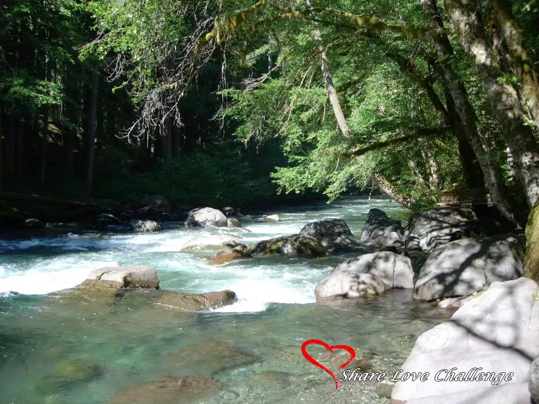 Mount Rainier National Park Washington State