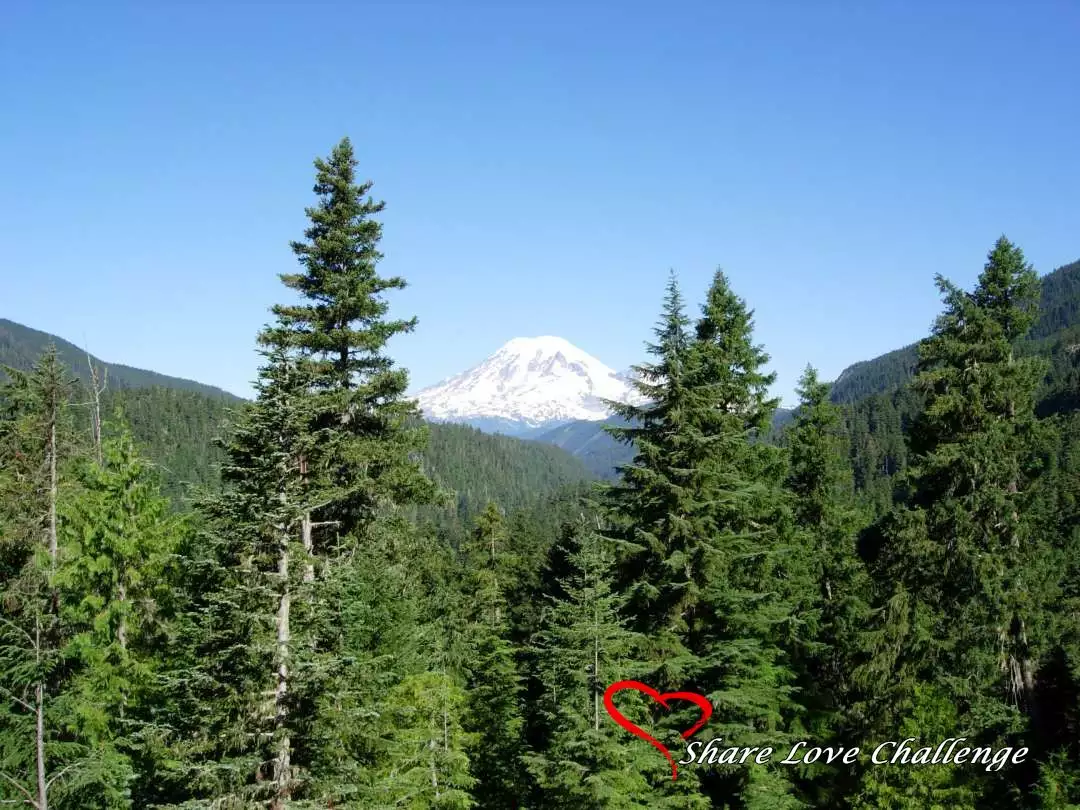 Mount Rainier National Park Washington State