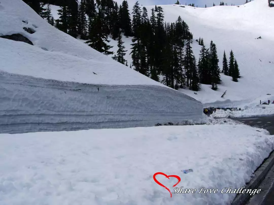 Mount Rainier National Park Washington State