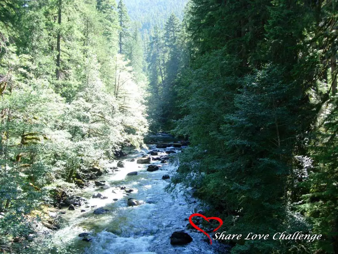Mount Rainier National Park Washington State