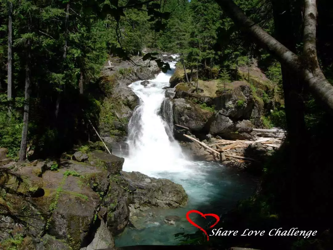 Mount Rainier National Park Washington State