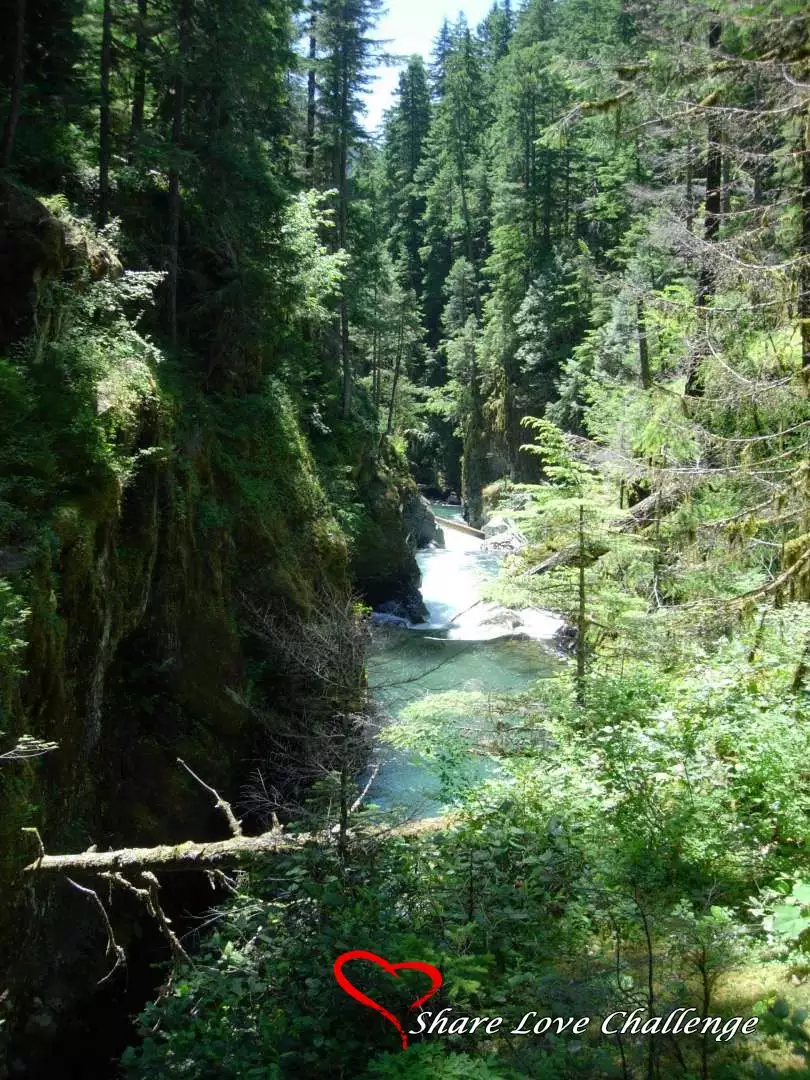 Mount Rainier National Park Washington State