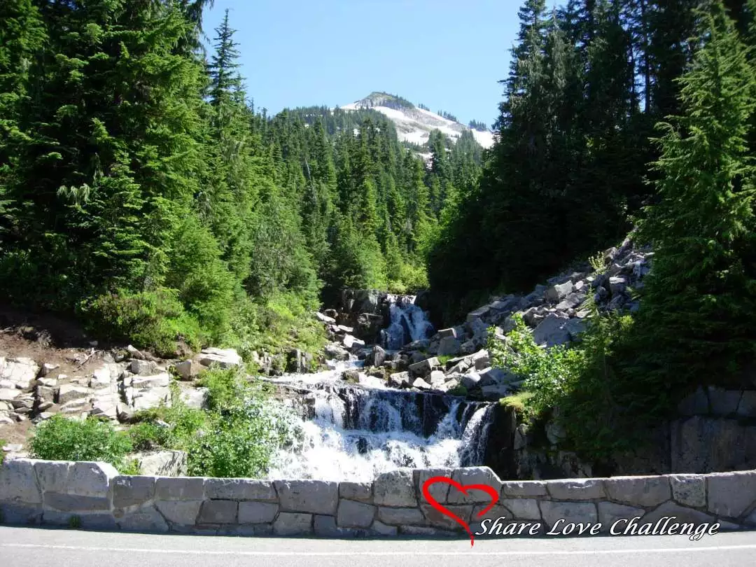 Mount Rainier National Park Washington State