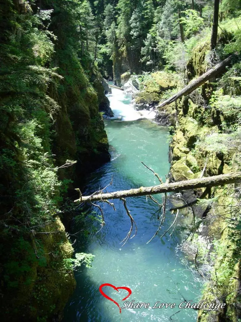 Mount Rainier National Park Washington State