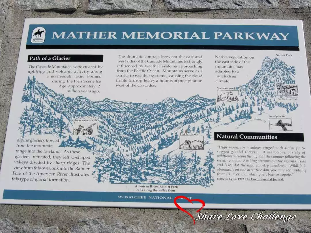 Mount Rainier National Park Washington State