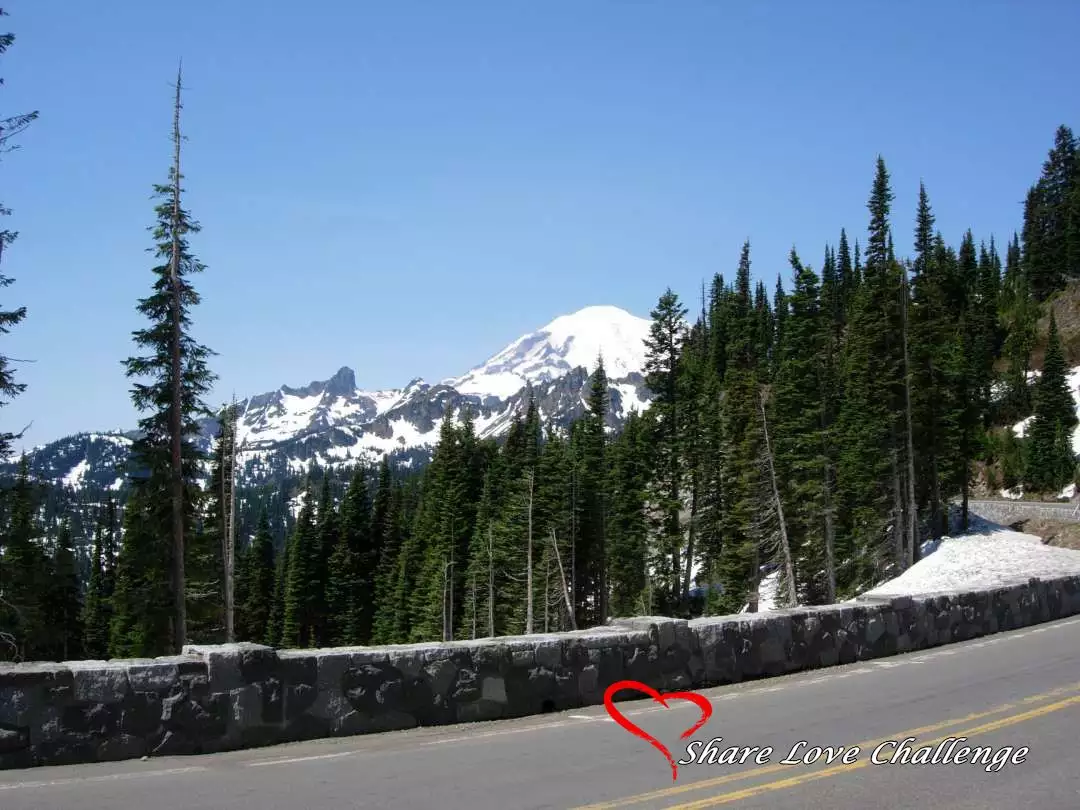 Mount Rainier National Park Washington State