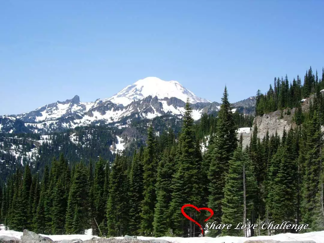 Mount Rainier National Park Washington State