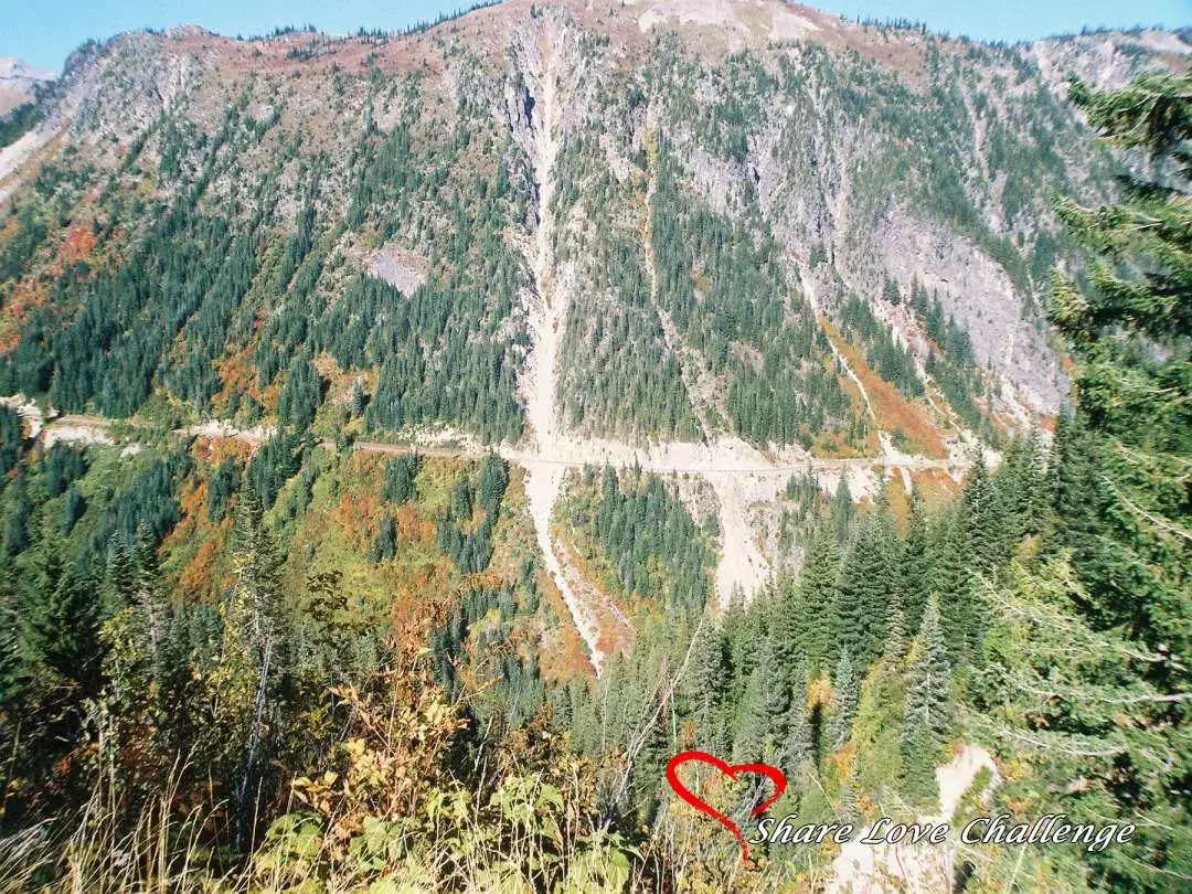 Mount Rainier National Park Washington State