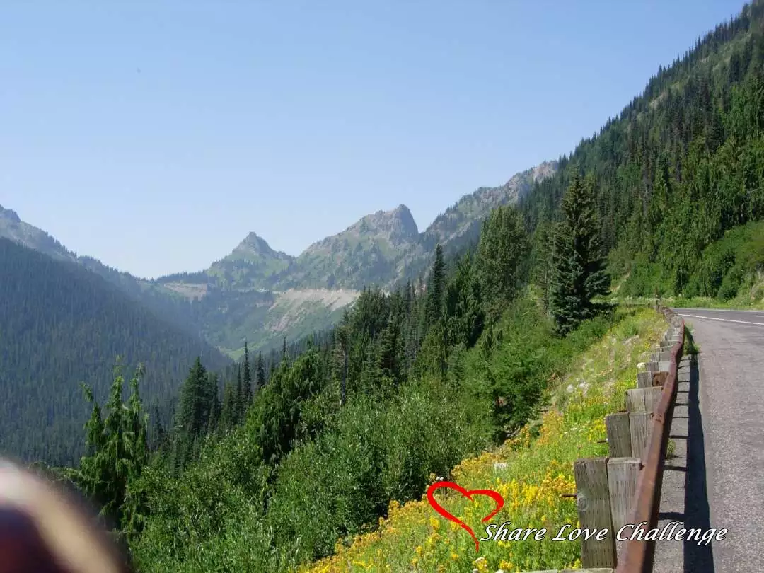 Mount Rainier National Park Washington State