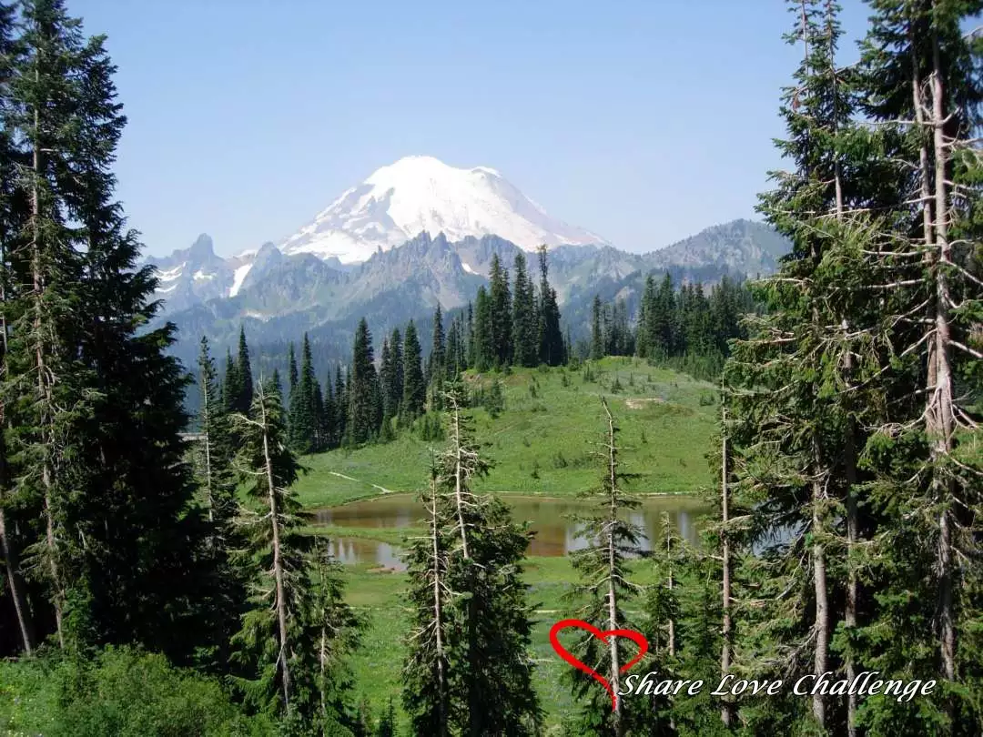 Mount Rainier National Park Washington State