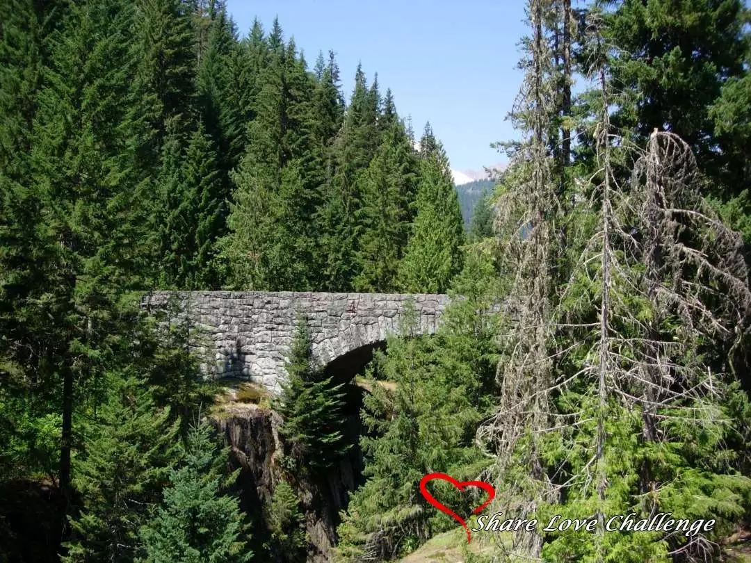 Mount Rainier National Park Washington State