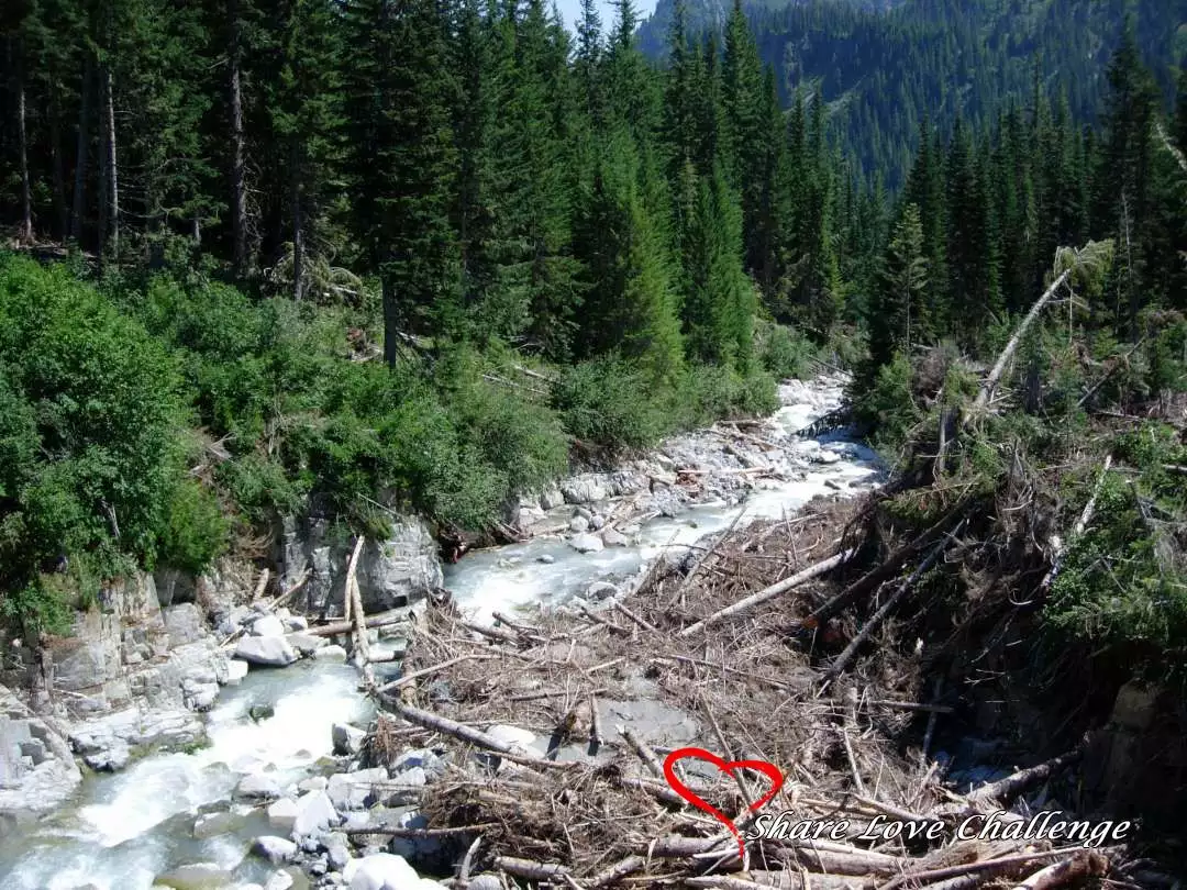 Mount Rainier National Park Washington State