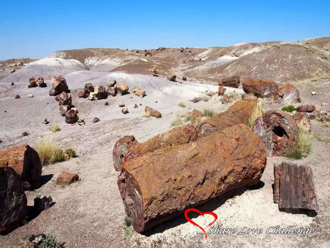 Arizona Route 66 Attractions