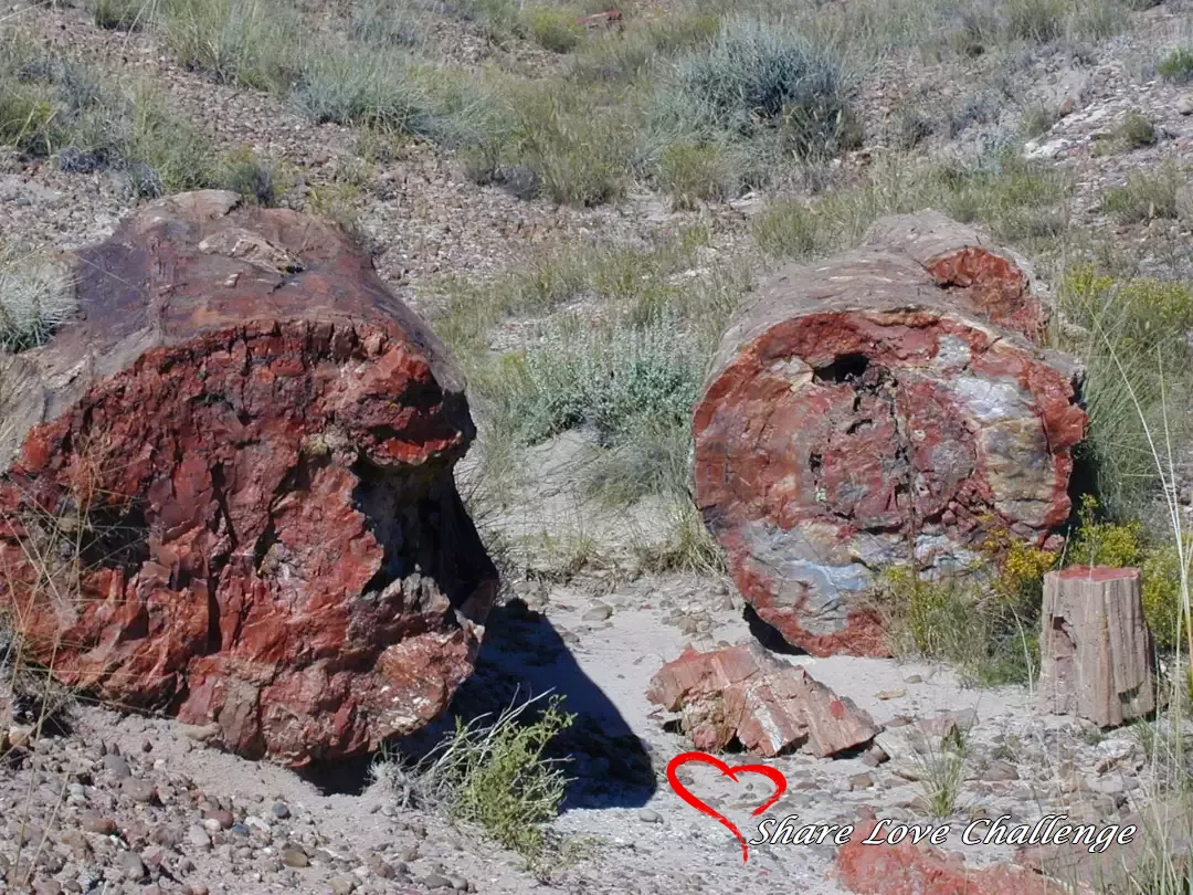 Arizona Route 66 Attractions