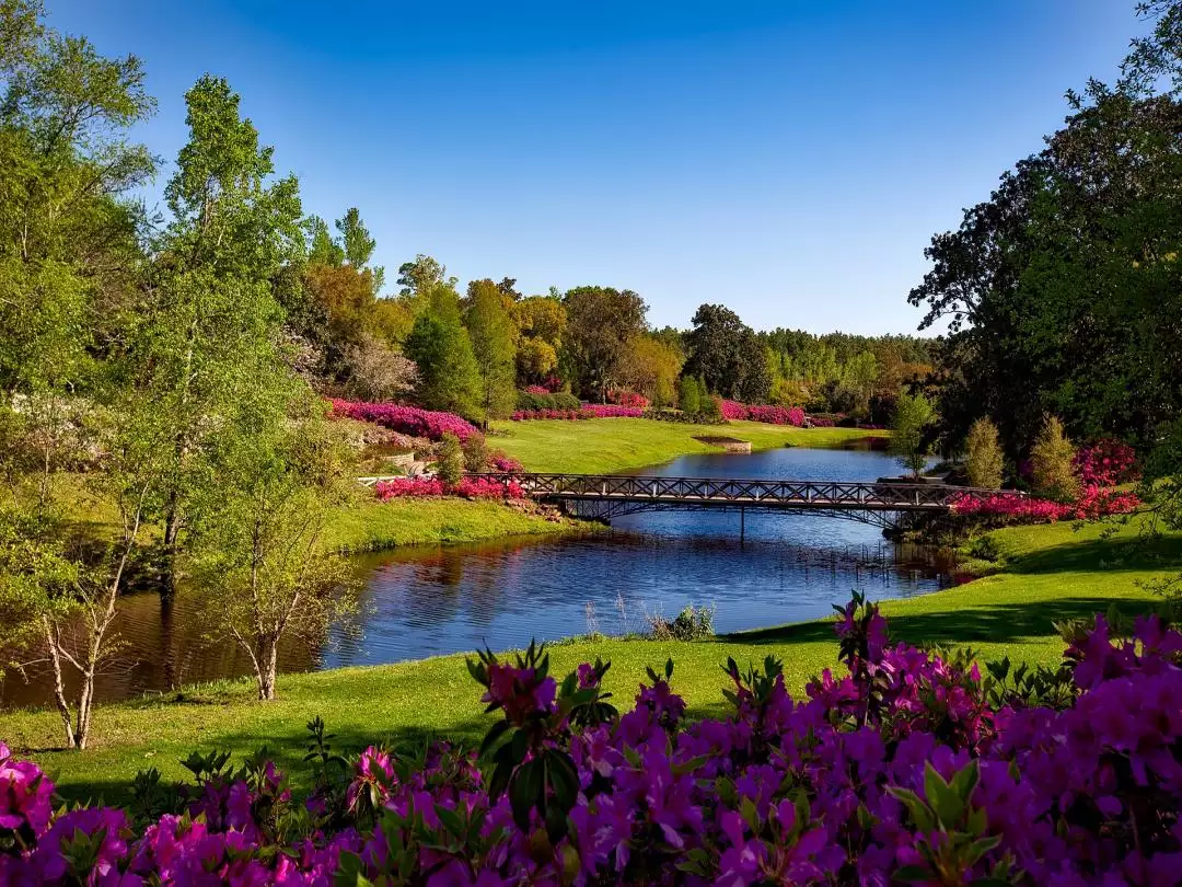 Bellingrath Gardens - Alabama image by David Mark from Pixabay