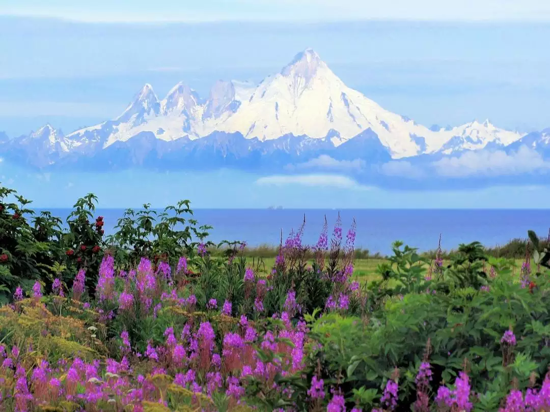 Mount Iliamna Kenai Image by Barbara Jackson from Pixabay