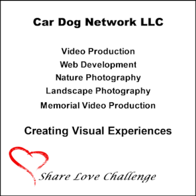 Car Dog Network