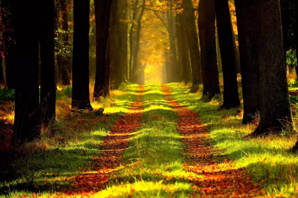 Natures Way