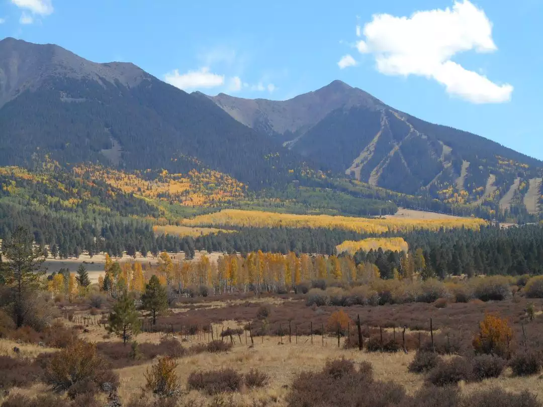 Flagstaff, Arizona Fall Colors at San Francisco Peaks