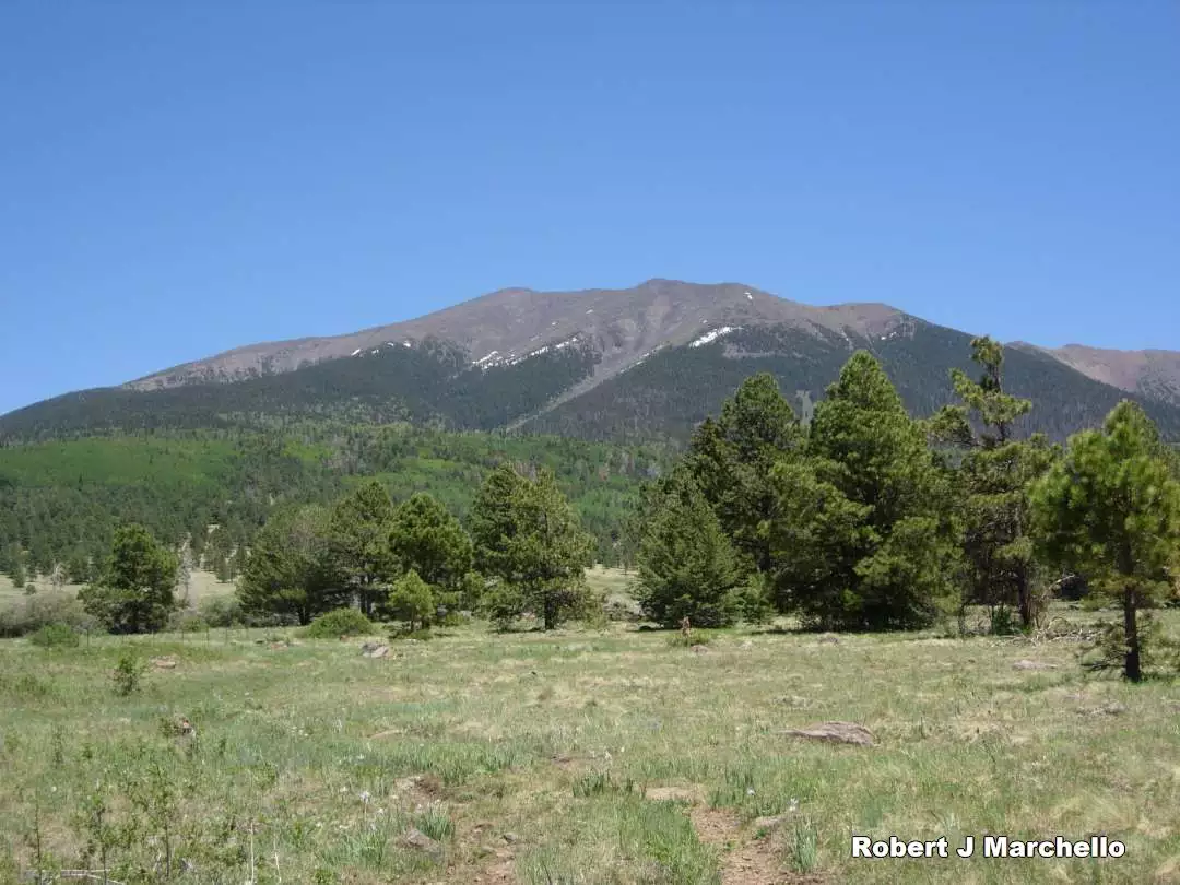 Summer San Francisco Peaks Flagstaff