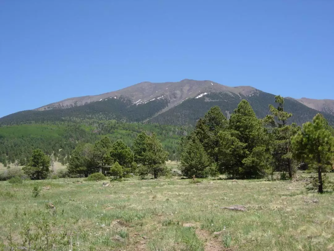 San Francisco Peaks in Summer