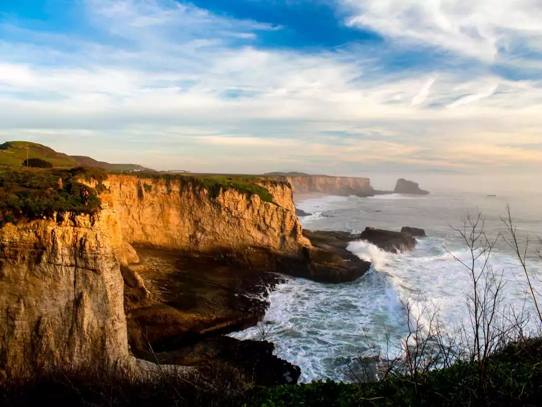 Santa Cruz Coastline image by Egor Shitikov from Pixabay