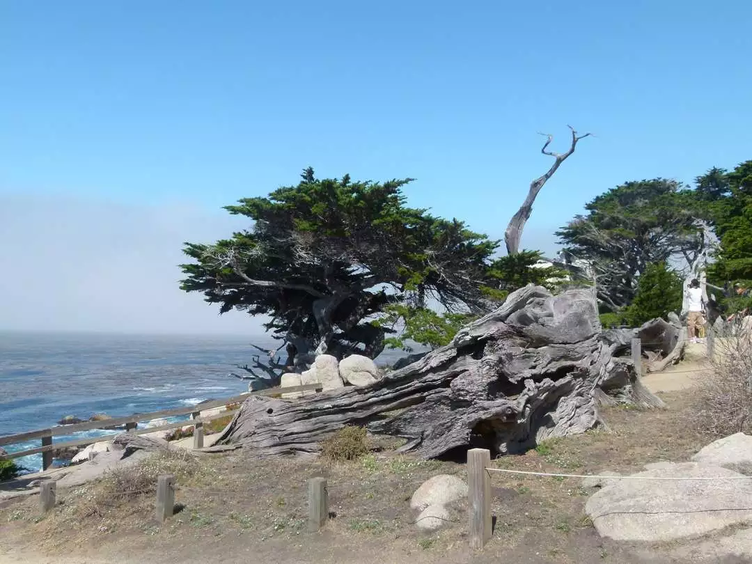 Monterey Coast image by Brigitte from Pixabay