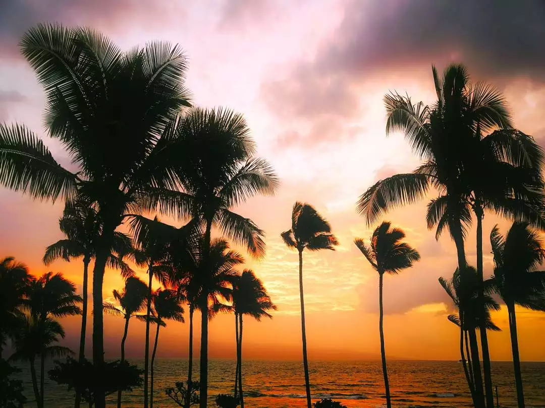 Hawaiin Sunset image by David Mark from Pixabay