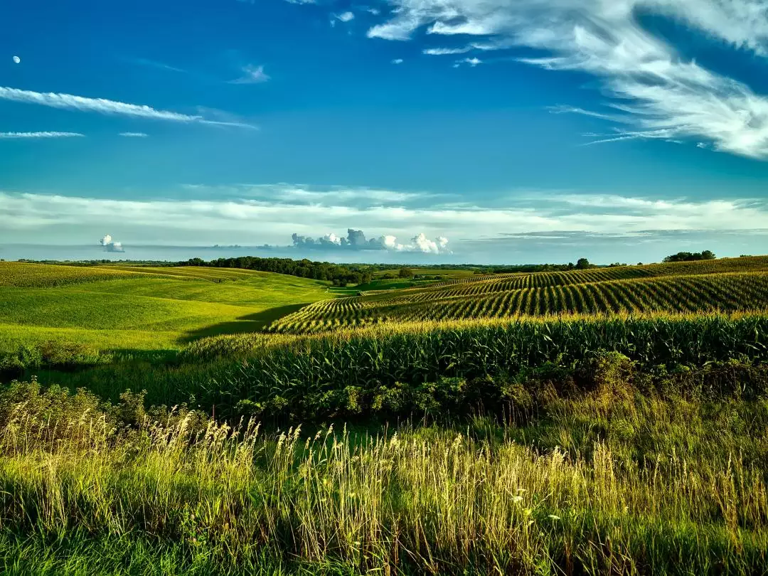 Iowa farm county image by David Mark from Pixabay