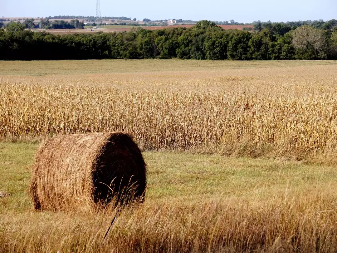 Farm in rural Kansas image by RJA1988 from Pixabay