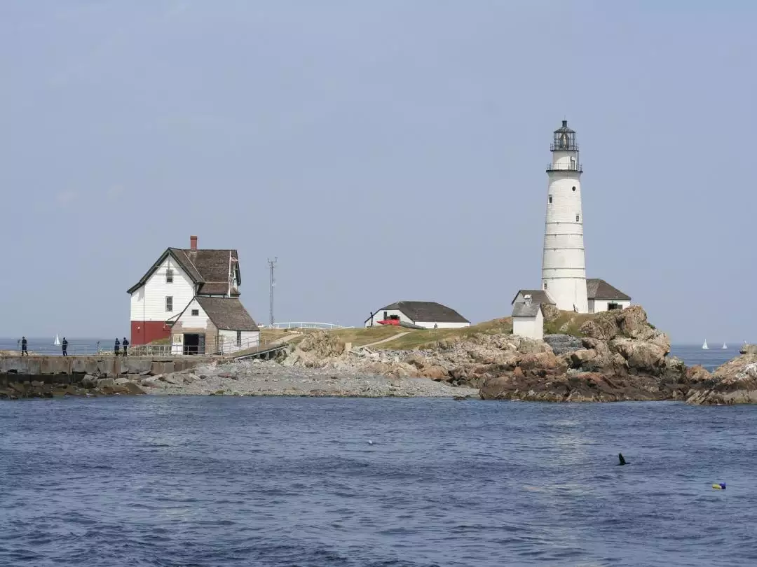 Lighthouse Boston Harbor image by silverdom from Pixabay