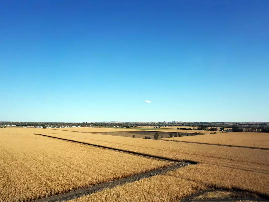 Farming in Nebraska image by RJA1988 from Pixabay