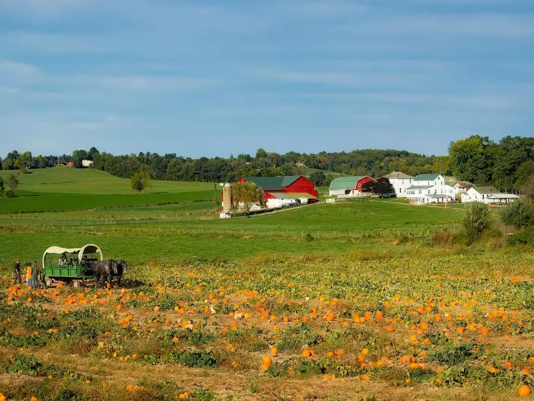 Amish Farm in Ohio image by David Mark from Pixabay