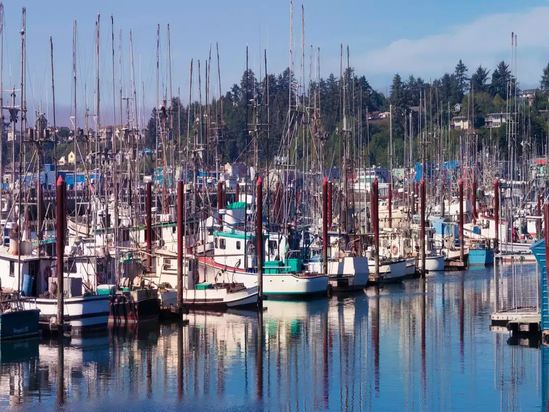 Bay at Newport Oregon image by 5506523 from Pixabay