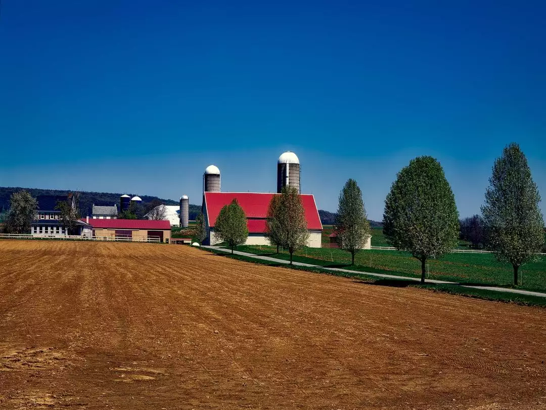 <h4>Amish Farm Pennsylvania <br />image by David Mark from Pixabay</h4>