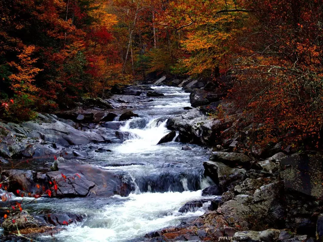 Fall Smoky Mountains Tennessee image by ELLE RITTER from Pixabay