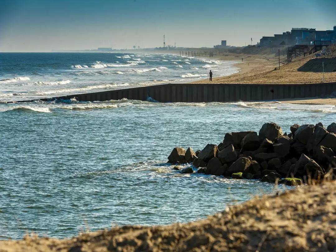 Along Beach in Virginia Beach image by Bryan Barbee from Pixabay